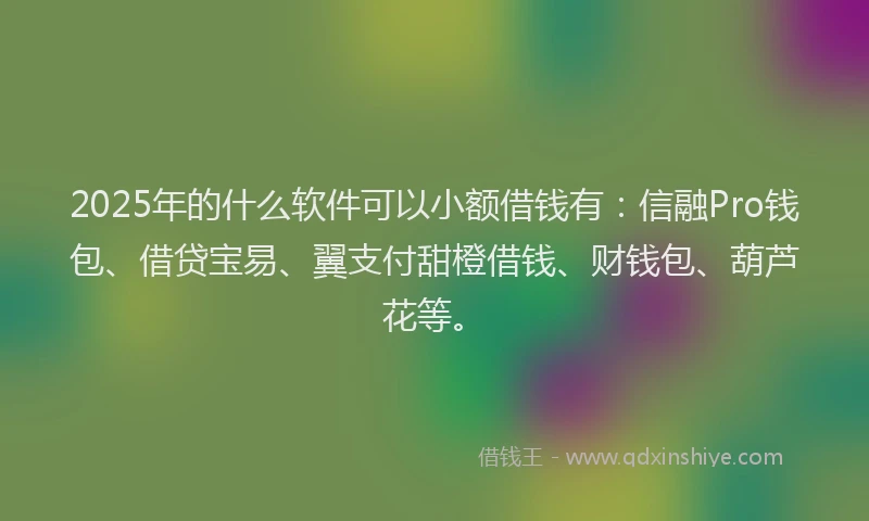 2025年的什么软件可以小额借钱有：信融Pro钱包、借贷宝易、翼支付甜橙借钱、财钱包、葫芦花等。