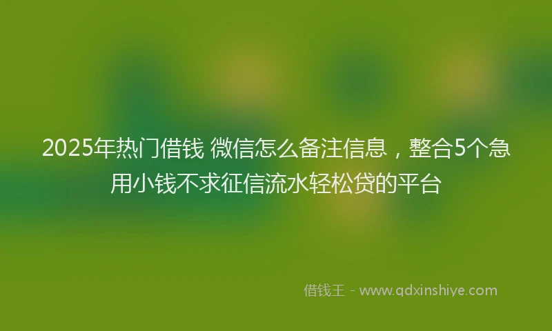 2025年热门借钱 微信怎么备注信息，整合5个急用小钱不求征信流水轻松贷的平台