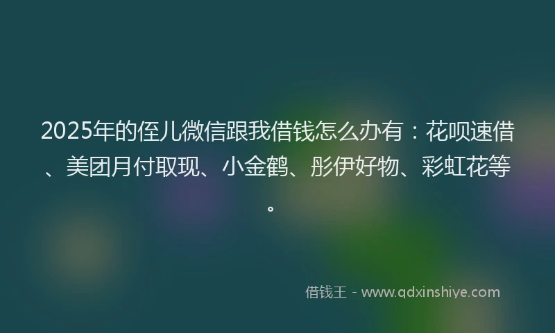 2025年的侄儿微信跟我借钱怎么办有：花呗速借、美团月付取现、小金鹤、彤伊好物、彩虹花等。