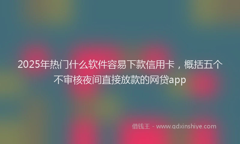 2025年热门什么软件容易下款信用卡，概括五个不审核夜间直接放款的网贷app