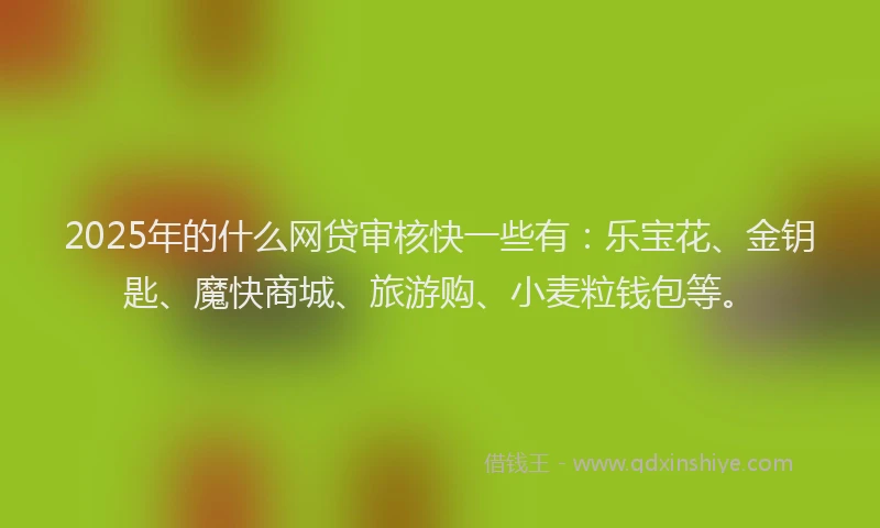 2025年的什么网贷审核快一些有：乐宝花、金钥匙、魔快商城、旅游购、小麦粒钱包等。