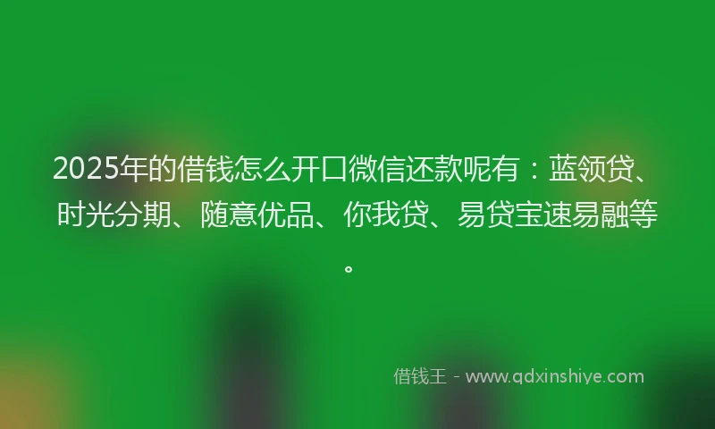 2025年的借钱怎么开口微信还款呢有：蓝领贷、时光分期、随意优品、你我贷、易贷宝速易融等。