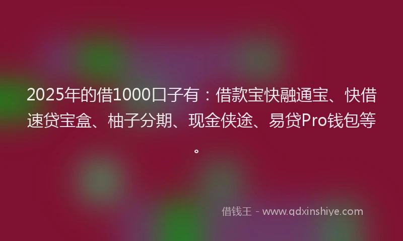 2025年的借1000口子有：借款宝快融通宝、快借速贷宝盒、柚子分期、现金侠途、易贷Pro钱包等。