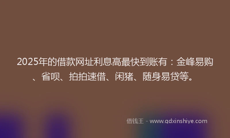 2025年的借款网址利息高最快到账有：金峰易购、省呗、拍拍速借、闲猪、随身易贷等。