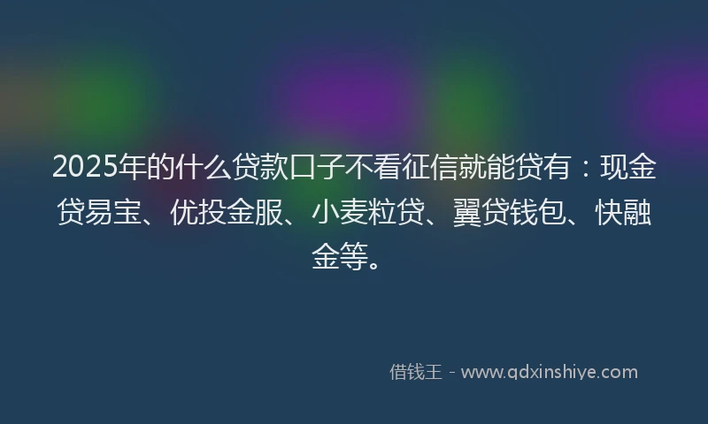 2025年的什么贷款口子不看征信就能贷有：现金贷易宝、优投金服、小麦粒贷、翼贷钱包、快融金等。