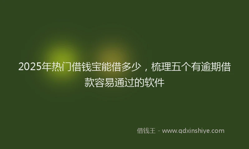 2025年热门借钱宝能借多少，梳理五个有逾期借款容易通过的软件