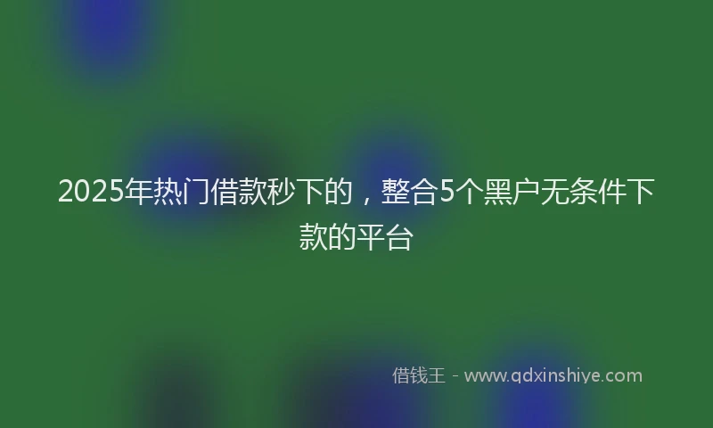 2025年热门借款秒下的，整合5个黑户无条件下款的平台