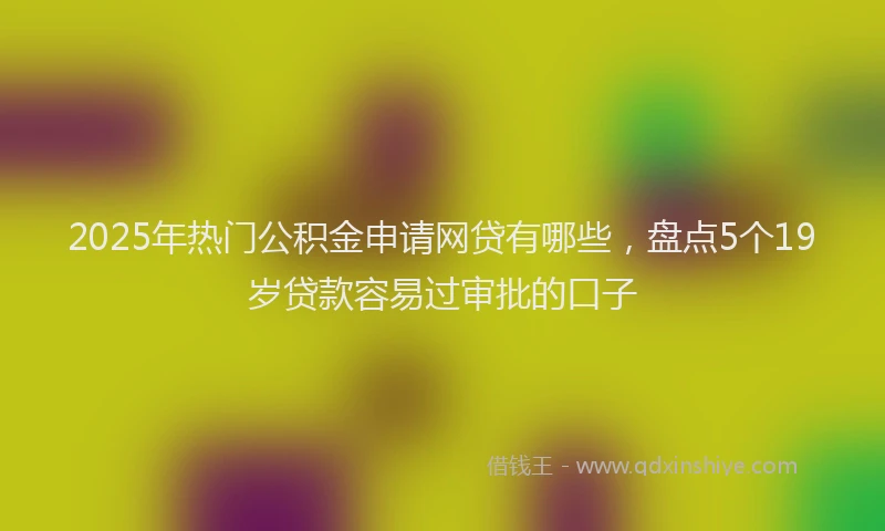 2025年热门公积金申请网贷有哪些，盘点5个19岁贷款容易过审批的口子