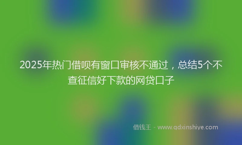 2025年热门借呗有窗口审核不通过，总结5个不查征信好下款的网贷口子