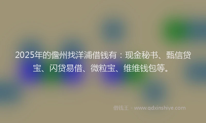 2025年的儋州找洋浦借钱有：现金秘书、甄信贷宝、闪贷易借、微粒宝、维维钱包等。