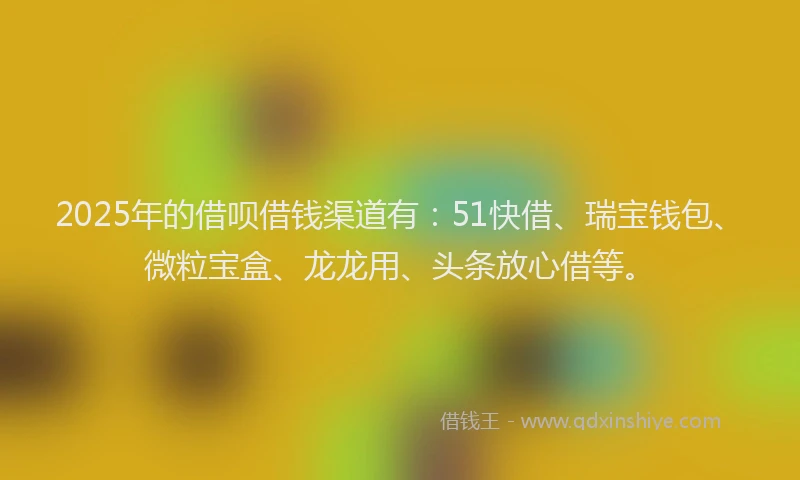2025年的借呗借钱渠道有：51快借、瑞宝钱包、微粒宝盒、龙龙用、头条放心借等。