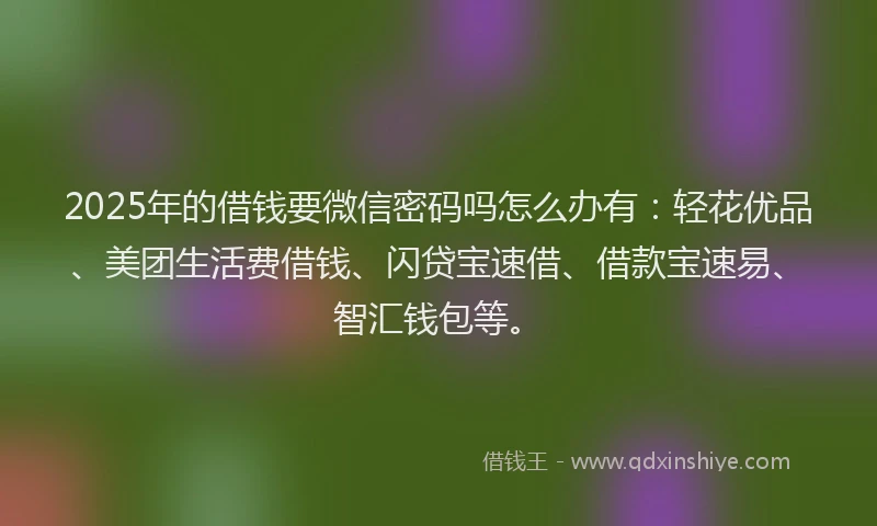 2025年的借钱要微信密码吗怎么办有：轻花优品、美团生活费借钱、闪贷宝速借、借款宝速易、智汇钱包等。