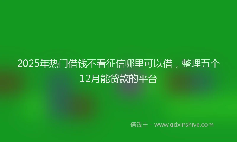 2025年热门借钱不看征信哪里可以借，整理五个12月能贷款的平台
