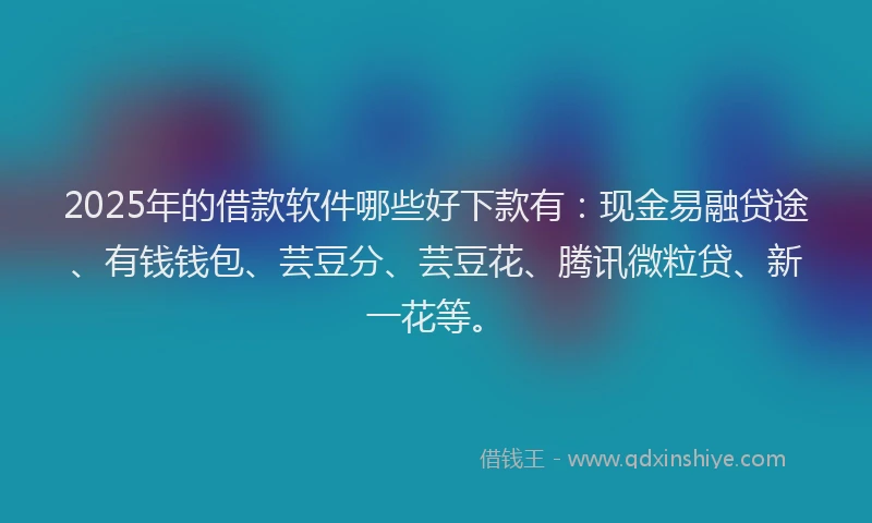 2025年的借款软件哪些好下款有：现金易融贷途、有钱钱包、芸豆分、芸豆花、腾讯微粒贷、新一花等。