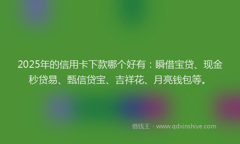 2025年的信用卡下款哪个好有：瞬借宝贷、现金秒贷易、甄信贷宝、吉祥花、月亮钱包等。