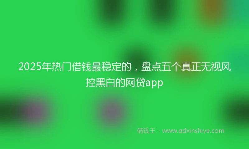 2025年热门借钱最稳定的，盘点五个真正无视风控黑白的网贷app