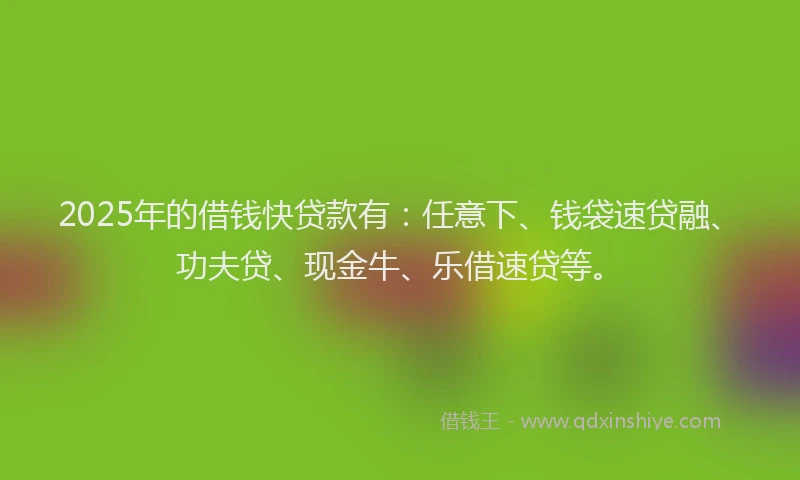 2025年的借钱快贷款有：任意下、钱袋速贷融、功夫贷、现金牛、乐借速贷等。