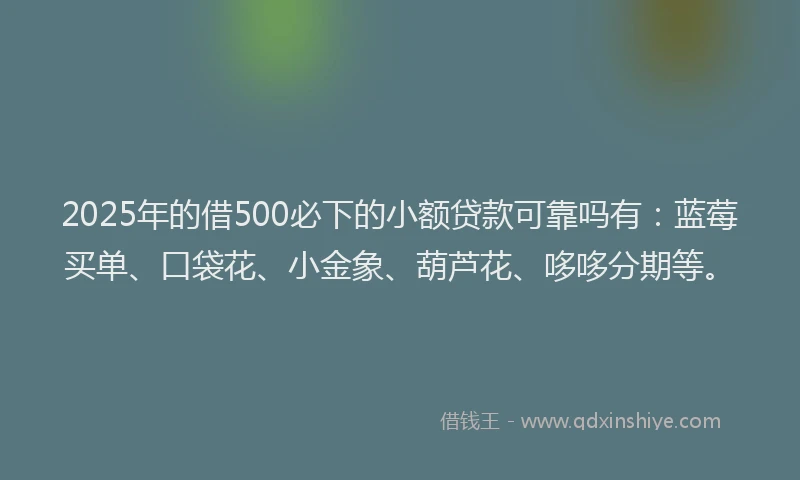2025年的借500必下的小额贷款可靠吗有：蓝莓买单、口袋花、小金象、葫芦花、哆哆分期等。