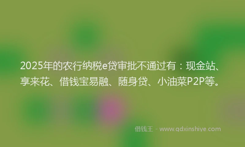 2025年的农行纳税e贷审批不通过有：现金站、享来花、借钱宝易融、随身贷、小油菜P2P等。