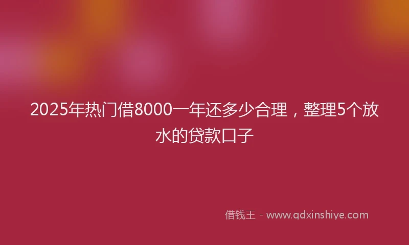 2025年热门借8000一年还多少合理，整理5个放水的贷款口子