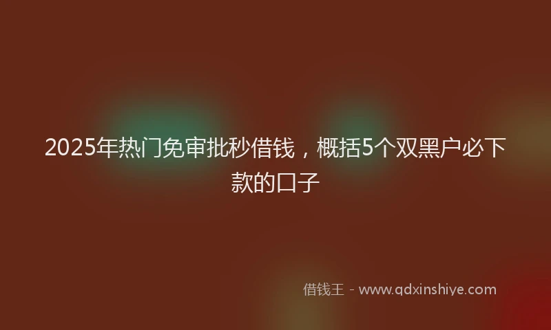 2025年热门免审批秒借钱，概括5个双黑户必下款的口子