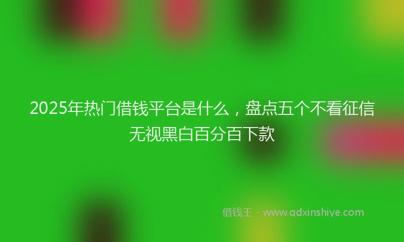 2025年热门借钱平台是什么，盘点五个不看征信无视黑白百分百下款