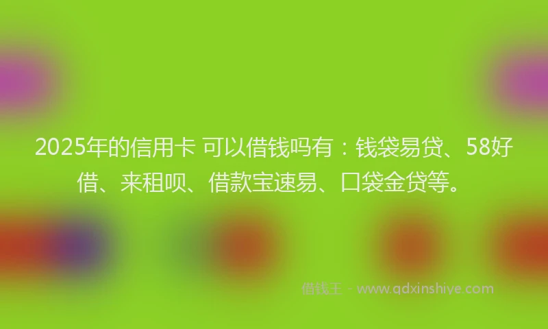 2025年的信用卡 可以借钱吗有：钱袋易贷、58好借、来租呗、借款宝速易、口袋金贷等。