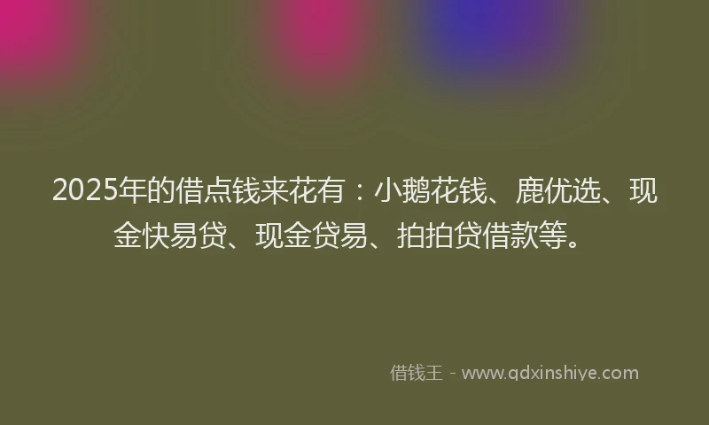2025年的借点钱来花有：小鹅花钱、鹿优选、现金快易贷、现金贷易、拍拍贷借款等。