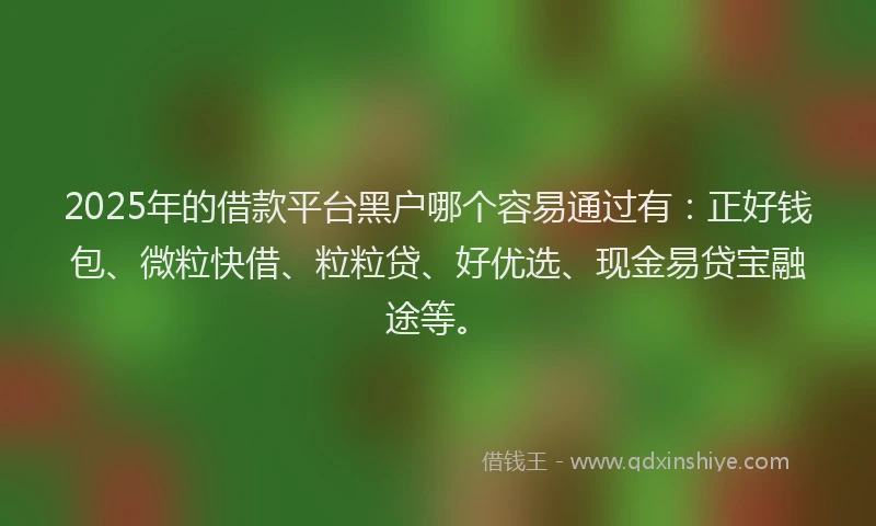 2025年的借款平台黑户哪个容易通过有：正好钱包、微粒快借、粒粒贷、好优选、现金易贷宝融途等。