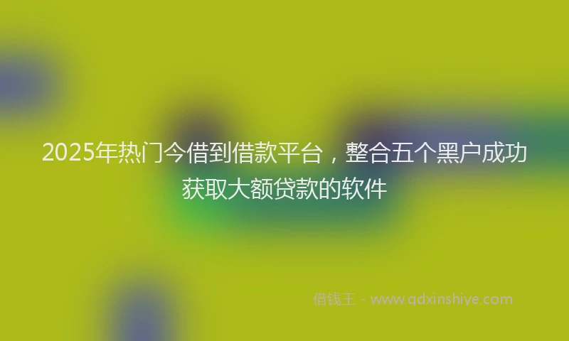 2025年热门今借到借款平台，整合五个黑户成功获取大额贷款的软件