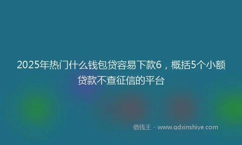 2025年热门什么钱包贷容易下款6，概括5个小额贷款不查征信的平台