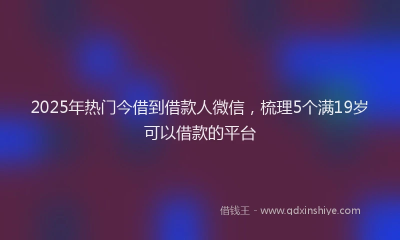 2025年热门今借到借款人微信，梳理5个满19岁可以借款的平台