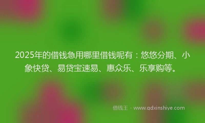 2025年的借钱急用哪里借钱呢有：悠悠分期、小象快贷、易贷宝速易、惠众乐、乐享购等。