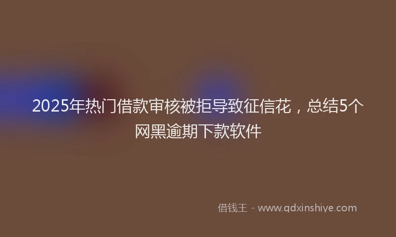 2025年热门借款审核被拒导致征信花，总结5个网黑逾期下款软件