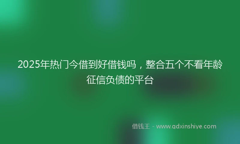 2025年热门今借到好借钱吗，整合五个不看年龄征信负债的平台