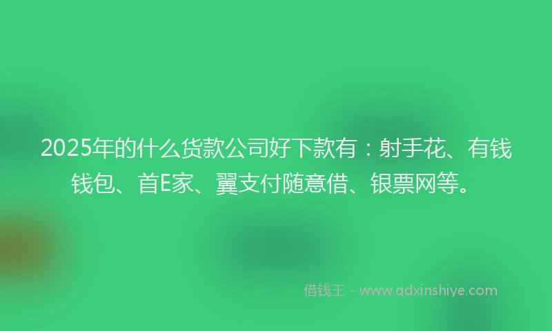 2025年的什么货款公司好下款有：射手花、有钱钱包、首E家、翼支付随意借、银票网等。