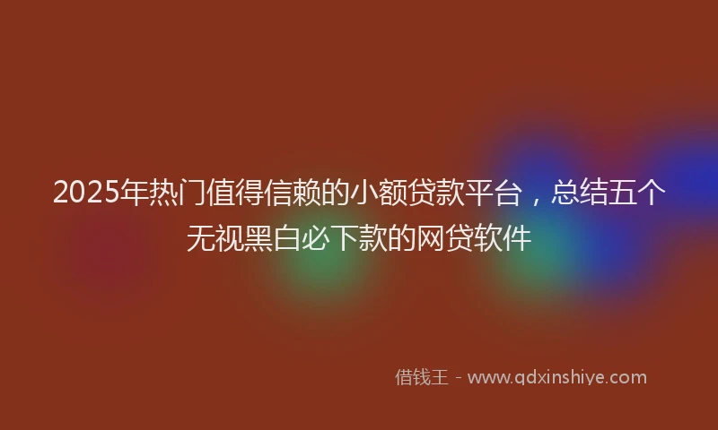 2025年热门值得信赖的小额贷款平台，总结五个无视黑白必下款的网贷软件