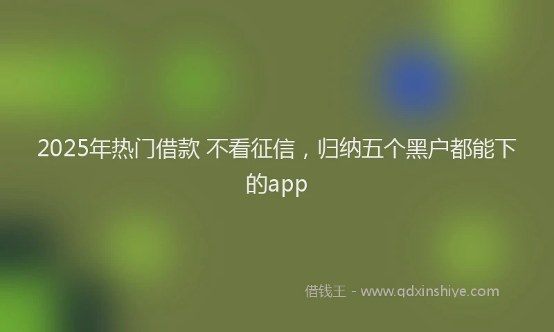 2025年热门借款 不看征信，归纳五个黑户都能下的app