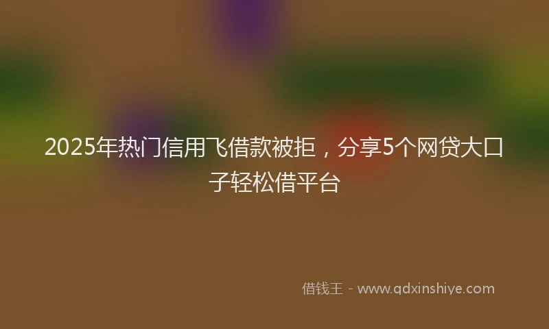 2025年热门信用飞借款被拒，分享5个网贷大口子轻松借平台