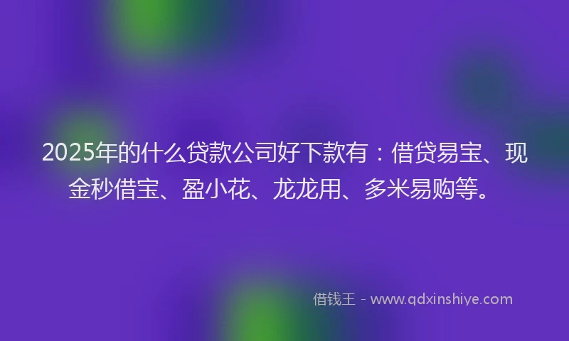 2025年的什么贷款公司好下款有：借贷易宝、现金秒借宝、盈小花、龙龙用、多米易购等。