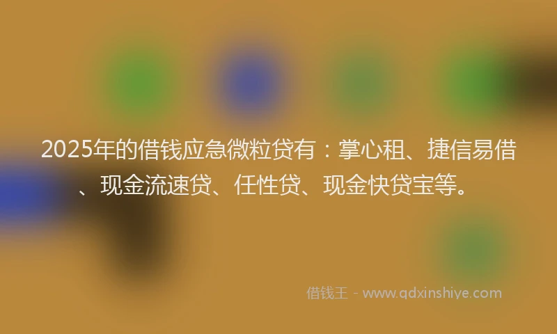 2025年的借钱应急微粒贷有：掌心租、捷信易借、现金流速贷、任性贷、现金快贷宝等。