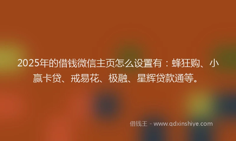 2025年的借钱微信主页怎么设置有：蜂狂购、小赢卡贷、戒易花、极融、星辉贷款通等。