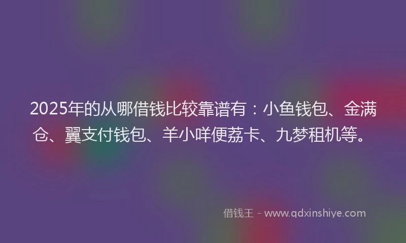 2025年的从哪借钱比较靠谱有：小鱼钱包、金满仓、翼支付钱包、羊小咩便荔卡、九梦租机等。