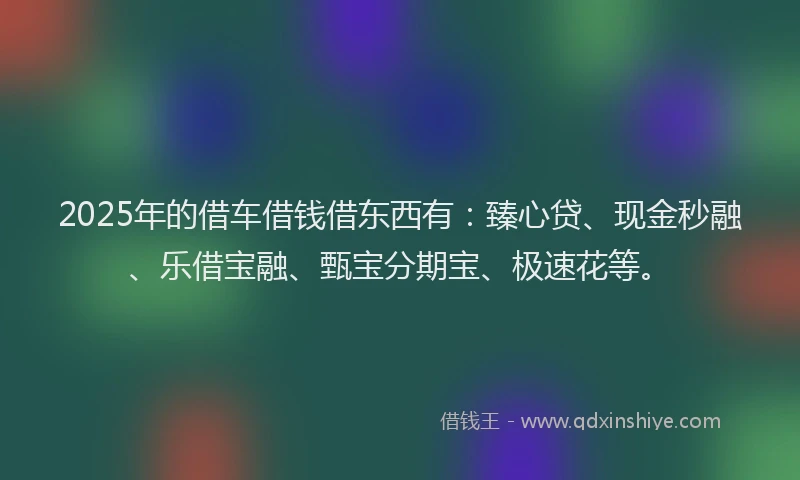 2025年的借车借钱借东西有：臻心贷、现金秒融、乐借宝融、甄宝分期宝、极速花等。
