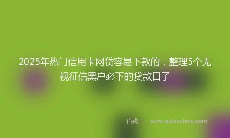 2025年热门信用卡网贷容易下款的，整理5个无视征信黑户必下的贷款口子