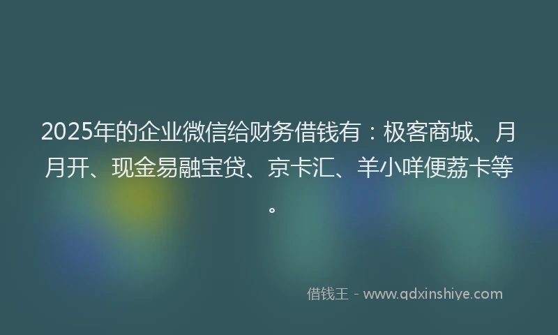 2025年的企业微信给财务借钱有：极客商城、月月开、现金易融宝贷、京卡汇、羊小咩便荔卡等。