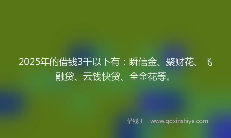 2025年的借钱3千以下有：瞬信金、聚财花、飞融贷、云钱快贷、全金花等。
