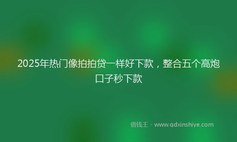 2025年热门像拍拍贷一样好下款，整合五个高炮口子秒下款