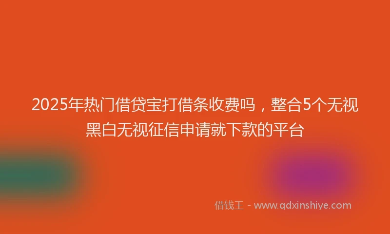 2025年热门借贷宝打借条收费吗，整合5个无视黑白无视征信申请就下款的平台