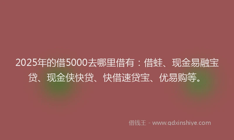 2025年的借5000去哪里借有：借蛙、现金易融宝贷、现金侠快贷、快借速贷宝、优易购等。